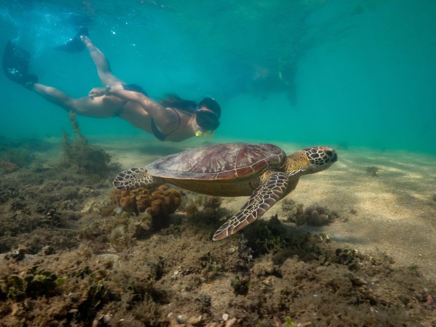 Port Douglas: Low Isles Glass Bottom Boat & Snorkeling Tour - Recap