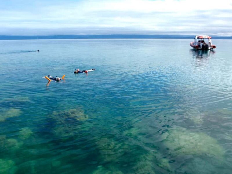 Port Douglas: Low Isles Reef Snorkeling Tour - FAQ