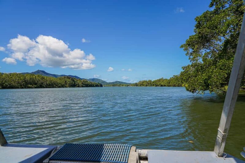 Port Douglas: Morning Daintree Tour w/ Wildlife Cruise - Final Thoughts