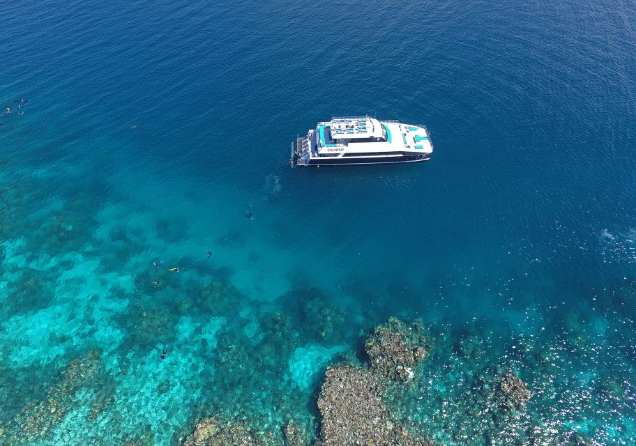 Port Douglas: Outer Barrier Reef Snorkel Cruise & Transfer - Experience Description