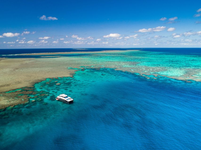 Port Douglas: Outer Barrier Reef Snorkel Cruise & Transfer - Important Information