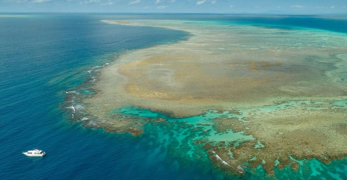 Port Douglas: Outer Reef Full-Day Snorkeling Tour - Key Points