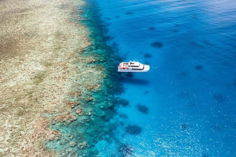 Port Douglas: Poseidon Outer Barrier Reef Dive and Snorkel - Key Points