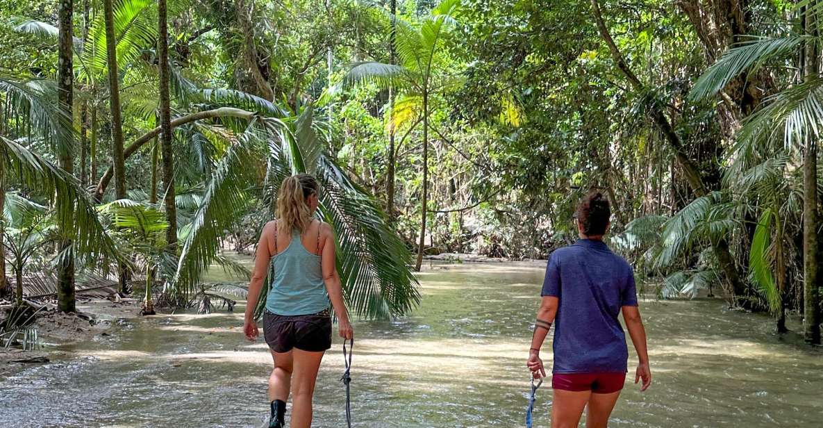 Port Douglas: River Drift Experience in the Daintree - Key Points
