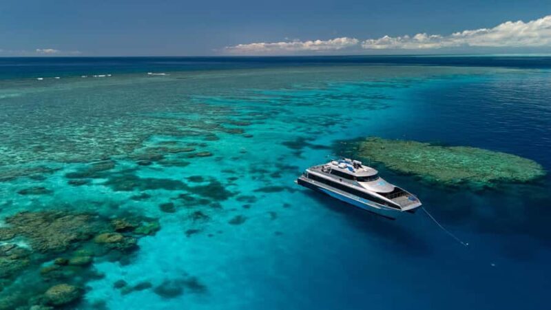 Port Douglas: Silversonic Great Barrier Reef Dive & Snorkel - An In-Depth Look at the Silversonic Reef Experience