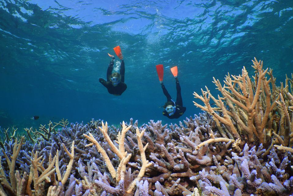 Port Douglas: Silversonic Great Barrier Reef Dive & Snorkel - Frequently Asked Questions