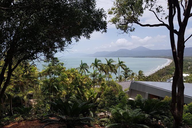 Port Douglas Sunday Markets Day Tour - Value and Cost Analysis