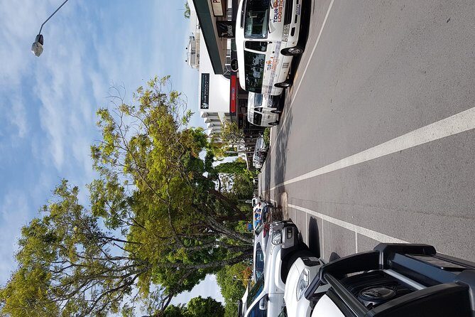 Port Douglas Sunday Markets Day Tour - The Sum Up: Who Should Consider This Tour?