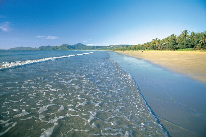 Port Douglas to/from Cairns RETURN TRIP Private Transfer 6 pax - Who Should Consider This Service?