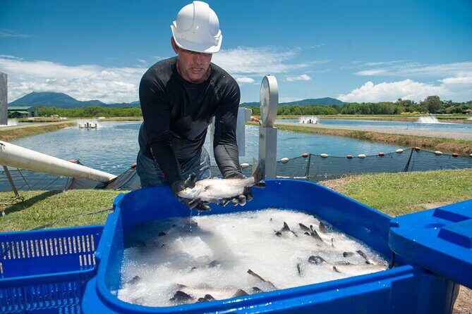 Port Douglas Tour Hook-A-Barra with Lunch - Final thoughts