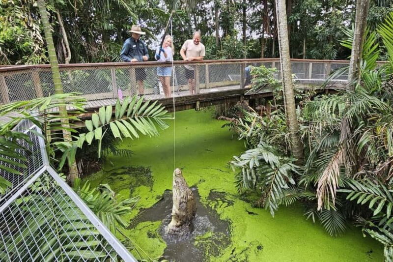 Port Douglas: Wildlife Habitat Croc Feed Experience & Entry - Key Points