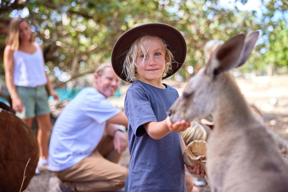 Port Douglas: Wildlife Habitat Entrance Ticket - Inclusions and Important Information