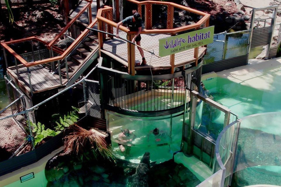 Port Douglas: Wildlife Habitat Swim With Crocodiles - Booking Information