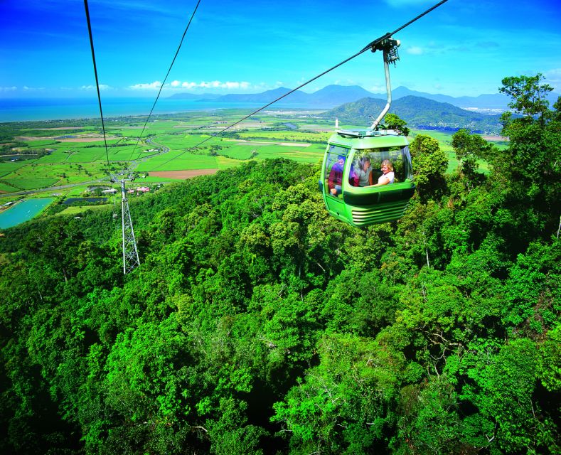 Port Douglas: World Heritage Forest by Skyrail & Scenic Rail - Key Points