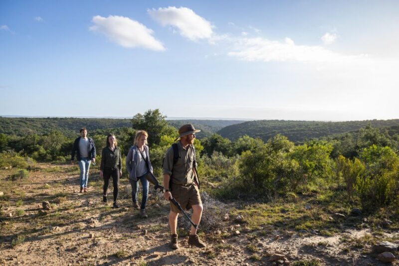 Port Elizabeth: 2-Day Addo Elephant Park Safari - Safari Overview and Pricing