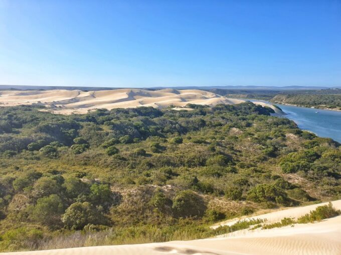 Port Elizabeth: 2-Day Addo Elephant Park Safari - Spotting the Big 5 Wildlife