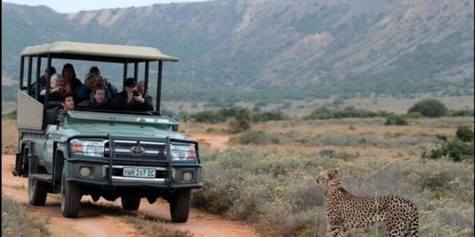 Port Elizabeth: 3-Day Addo Elephant National Park Safari - Tour Inclusions and Exclusions
