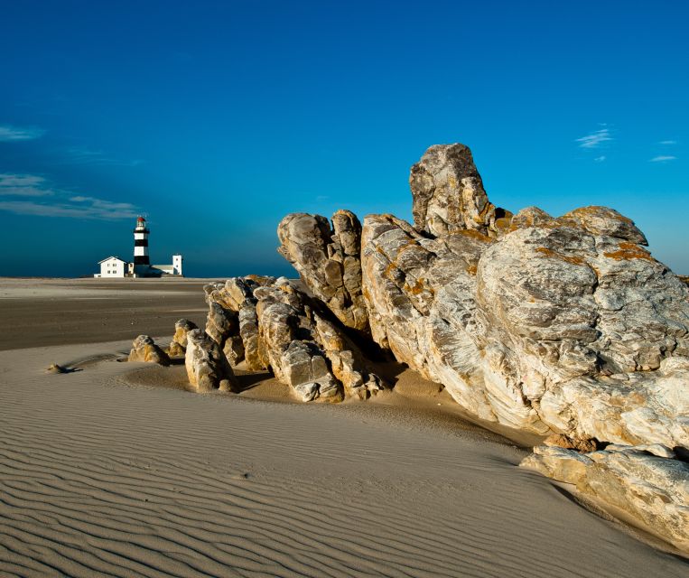 Port Elizabeth: Wildlife Safari and City Sightseeing Tour - Embarking on the Wildlife Safari