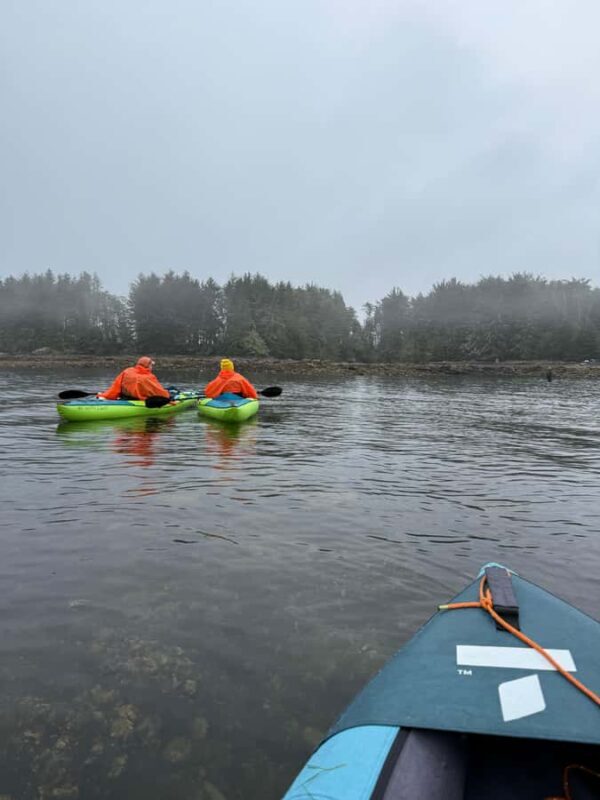 Port Hardy: Keogh River Bear/Wildlife Kayak Tour - The Sum Up