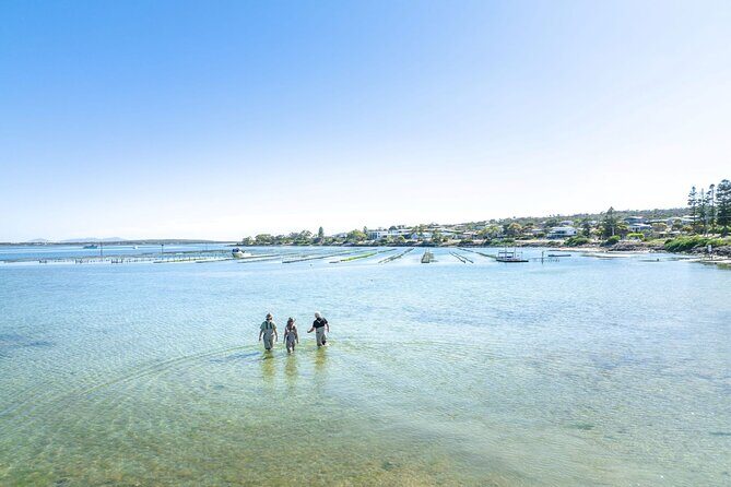 Port Lincoln and Coffin Bay Day Tour - Tasting Fine Wines at Peter Teakle Wines