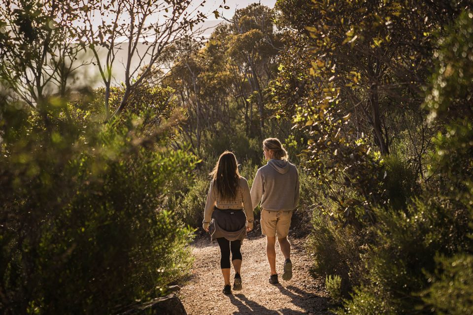 Port Lincoln Day Tour: Eyre Peninsula - Recap