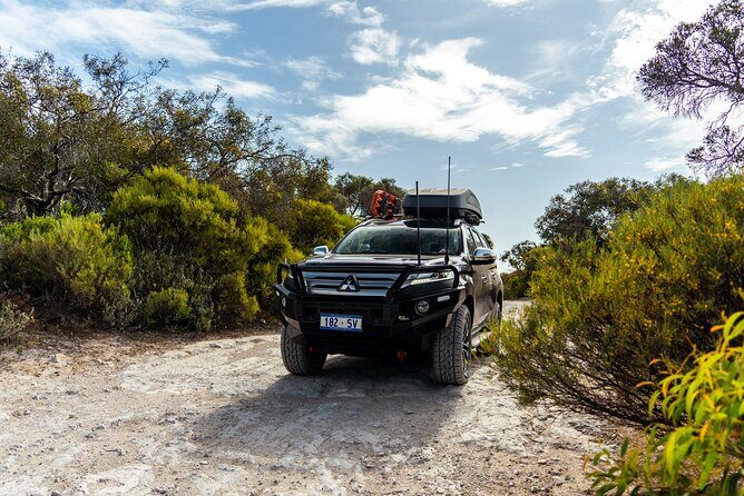 Port Lincoln Full-day Exploration Tour - Who Will Love This Tour?