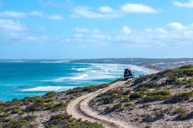 Port Lincoln National Park Half day Tour - Key Points