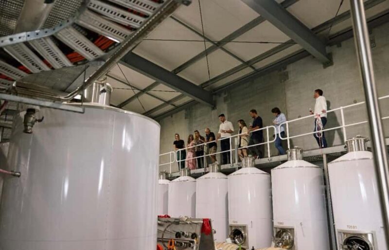 Port Lincoln: Teakle Wines & Platter Tasting and Winery Tour - Accessibility, Cost, and Booking