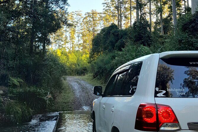 Port Macquarie day tour to Ellenborough Falls & Comboyne Rock - Transport and Group Size