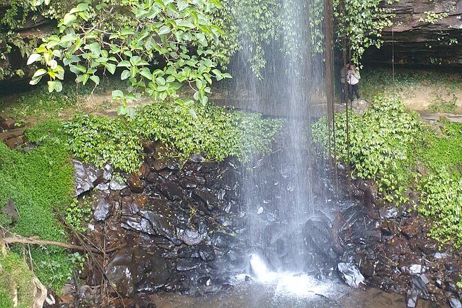 Port Macquarie Day Tour to Water Falls and Lookouts - FAQ