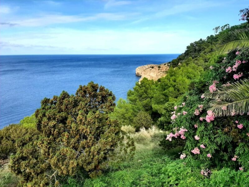 Port of San Miguel: Can Marça Cave Guided Tour With Entry - Itinerary Details