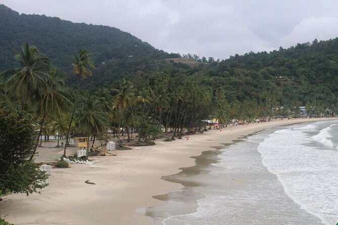 Port of Spain City Highlights and Maracas Beach - Final Thoughts: Is It Worth It?