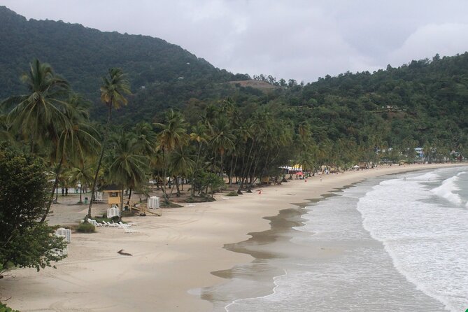 Port of Spain City Highlights and Maracas Beach - Private Tour With Professional Guide