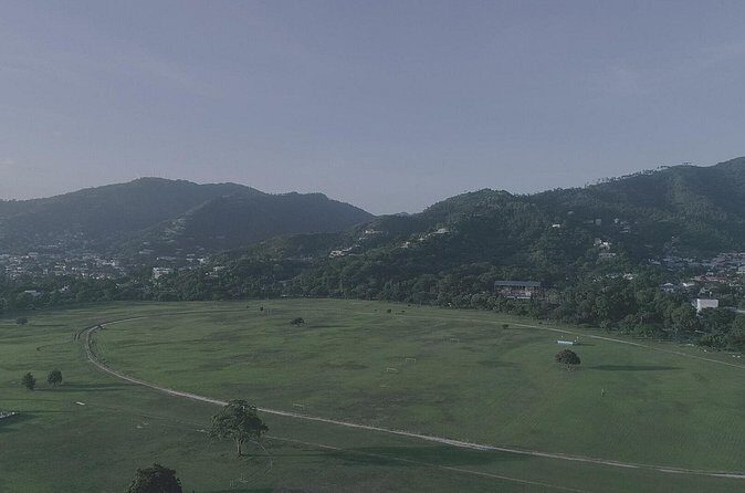 Port of Spain City Tour - Authentic Insights from Real Travelers