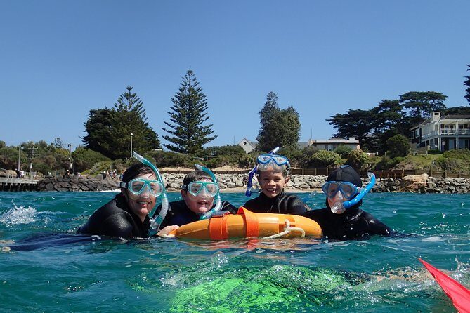 Port Phillip Bay Snorkeling with Sea Dragons - What You Can Expect on the Tour