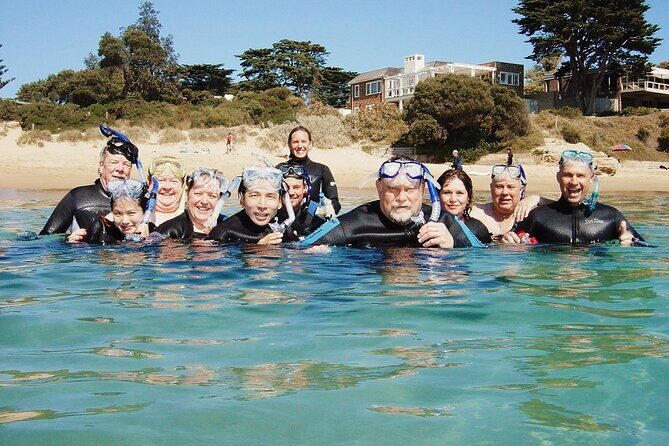 Port Phillip Bay Snorkeling with Sea Dragons - Gear, Safety, and Comfort