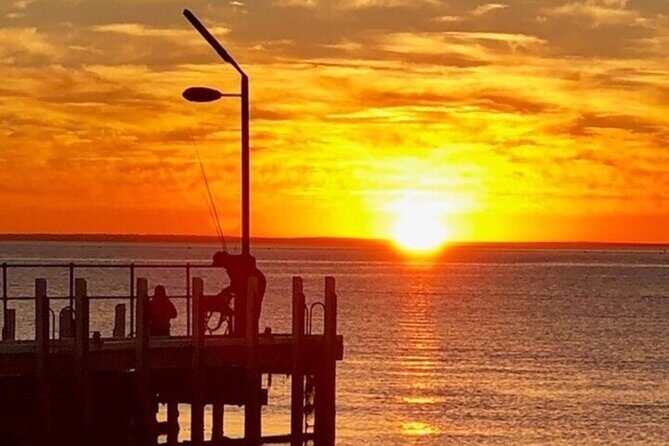 Port Phillip Bay Snorkeling with Sea Dragons - Pricing and Value