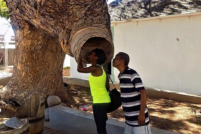 Port Royal Heritage & Sightseeing Tour from Kingston - Who Should Consider This Tour?