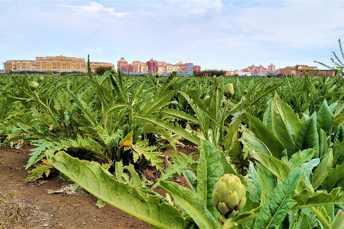 Port Saplaya -Little Venice - Self-Guided Bicycle Tour - Preparing for Your Tour
