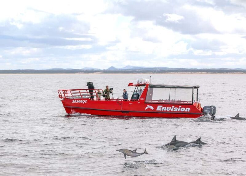 Port Stephens: 1hr Dolphin Watch Express - The Experience in Detail