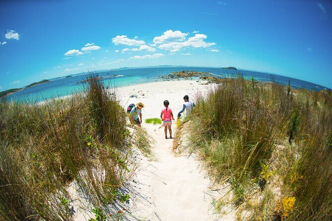 Port Stephens: Broughton Island Cruise - An In-Depth Look at the Broughton Island Cruise