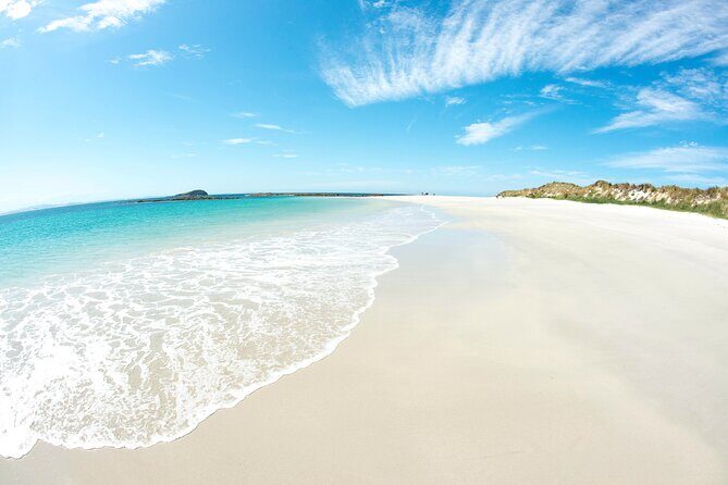 Port Stephens: Broughton Island Cruise - Authentic Wildlife Encounters and Reviewer Insights