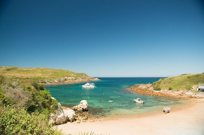 Port Stephens: Broughton Island Cruise - Price, Value, and Who Should Book