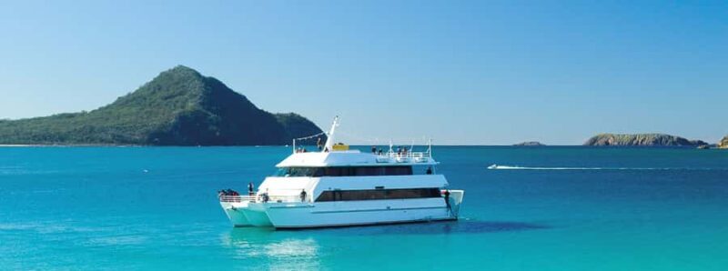 Port Stephens: Dolphin, Lunch, Koalas&Sandboarding -Mandarin - Key Points