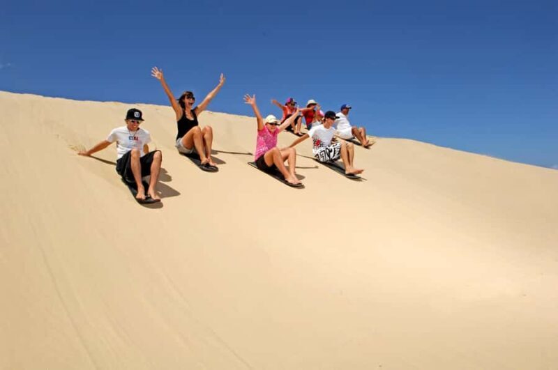 Port Stephens: Dolphin, Lunch, Koalas&Sandboarding(Japanese) - Key Points