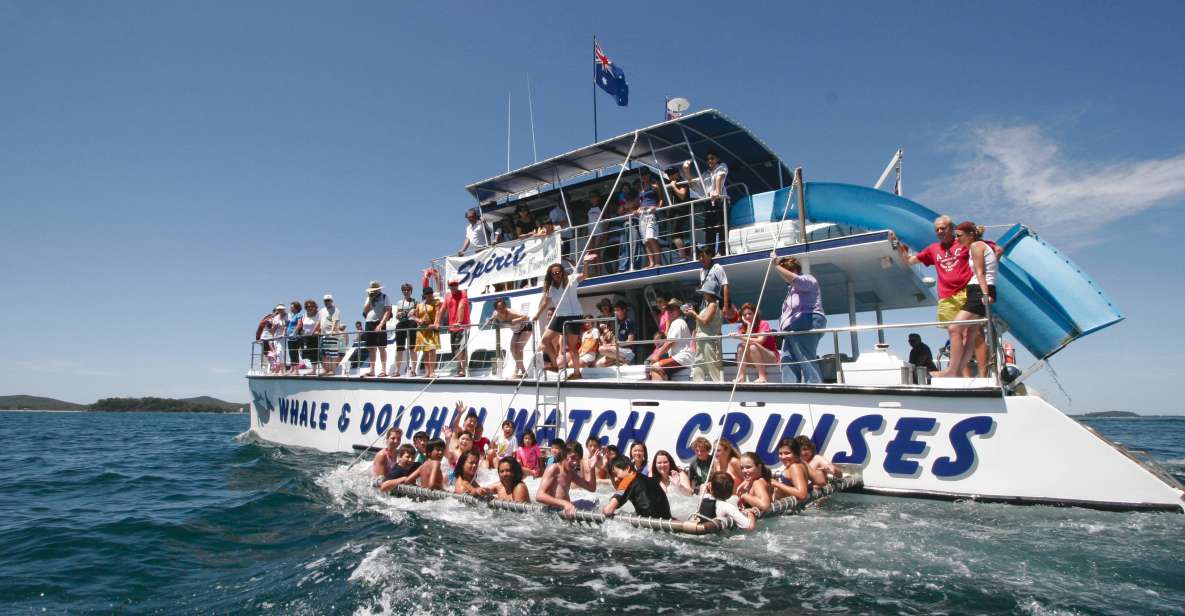 Port Stephens: Dolphin Watch Cruise With Swimming & Slides - Key Points