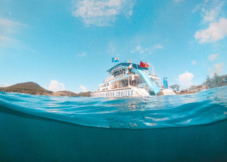 Port Stephens: Dolphin Watch Cruise With Swimming & Slides - Inclusions