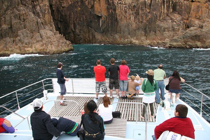 Port Stephens: Dolphin Watch Eco Adventure - Who Will Love This Tour?