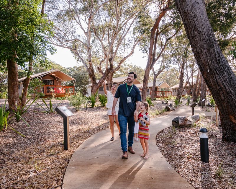 Port Stephens: Koala Sanctuary General Admission Ticket - Accessibility and Pathways Overview