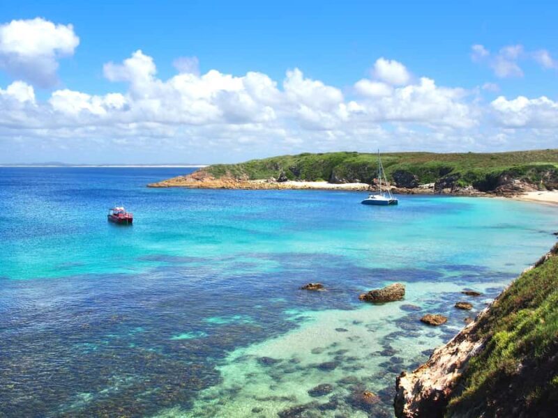 Port Stephens: Port Stephens Island Snorkel Adventure Cruise - An Authentic, Balanced Look at the Port Stephens Snorkel Tour